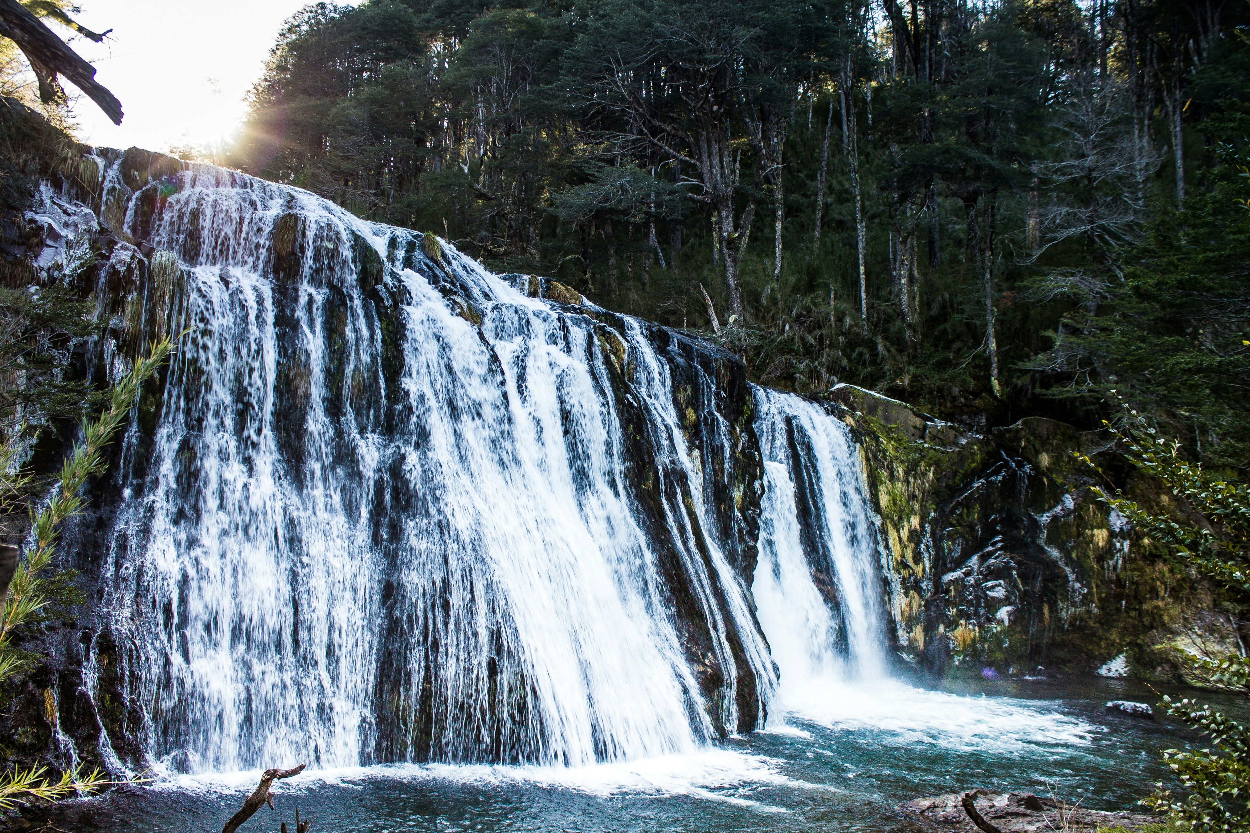 waterfalls in forest during daytime